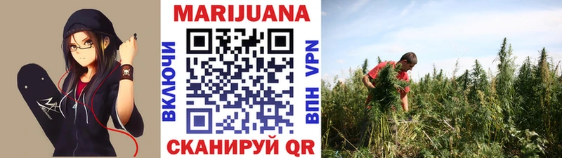 Бошки Шишки Ganja  даркнет сайт  Гаджиево 
